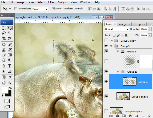 hippo, photoshop, nest, egg, shell, flying hippo, cute, baby, wings, hippopotamus, feathers